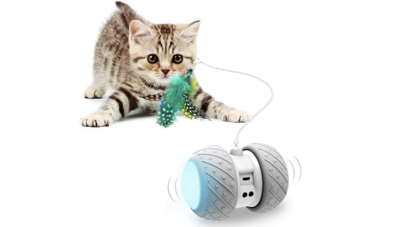 toys for bored indoor cats